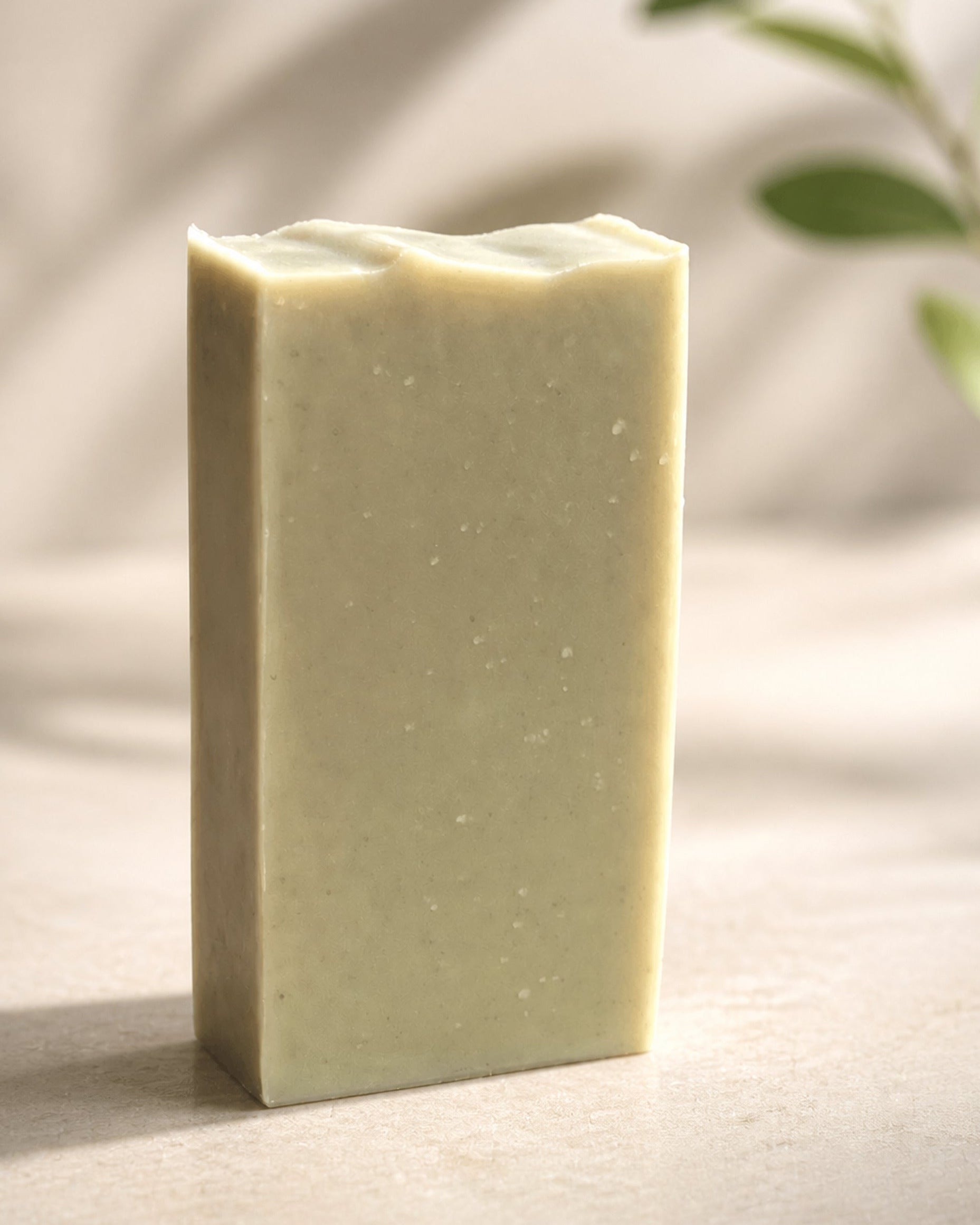 Bar of soap on a light background with a plant in the corner